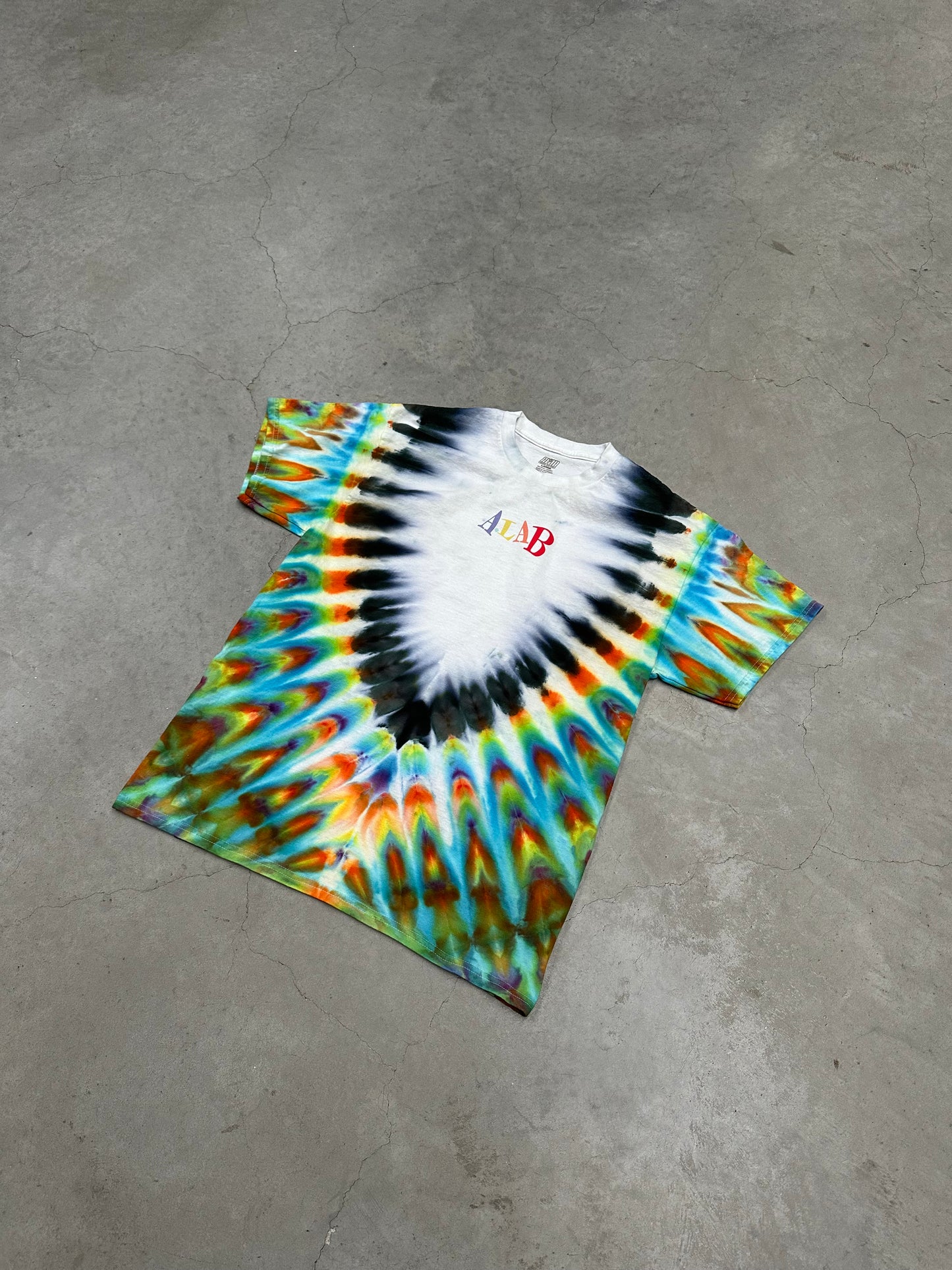 Graphic 1 of 1 T (L)